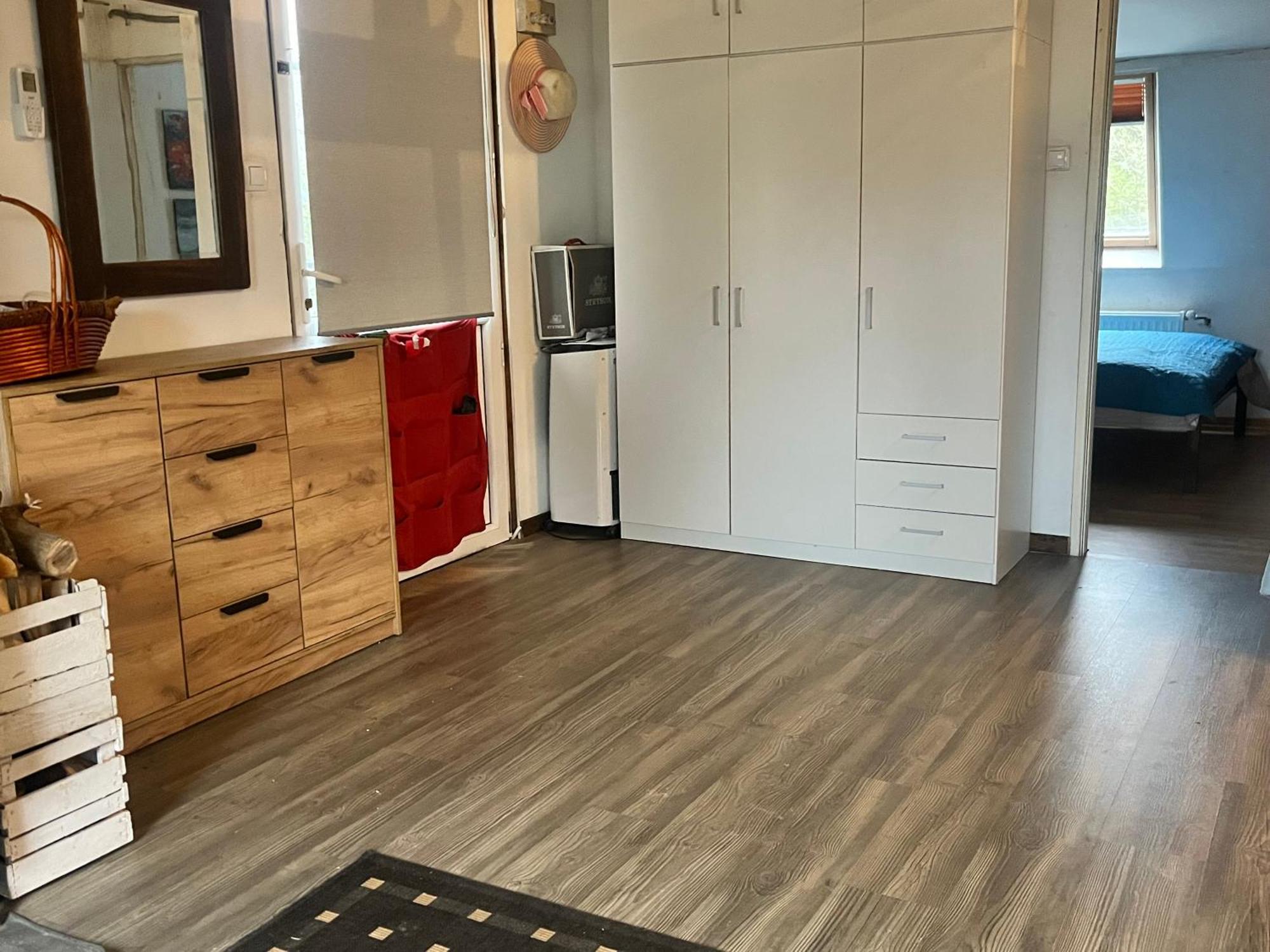 Apartament-Samodzielne Mieszkanie-Agroturystyka-Puszcza Kampinoska Leoncin エクステリア 写真