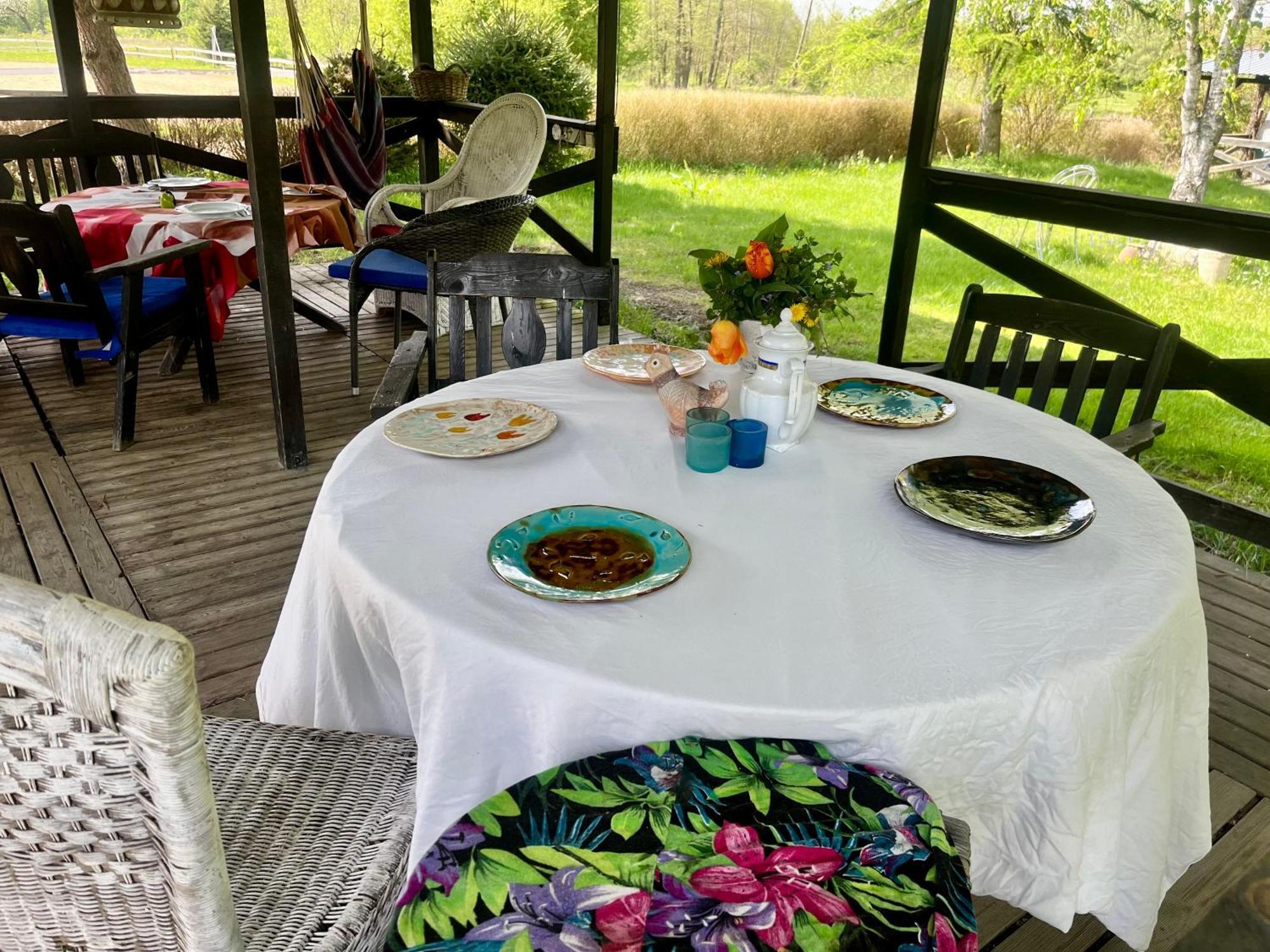 Apartament-Samodzielne Mieszkanie-Agroturystyka-Puszcza Kampinoska Leoncin エクステリア 写真