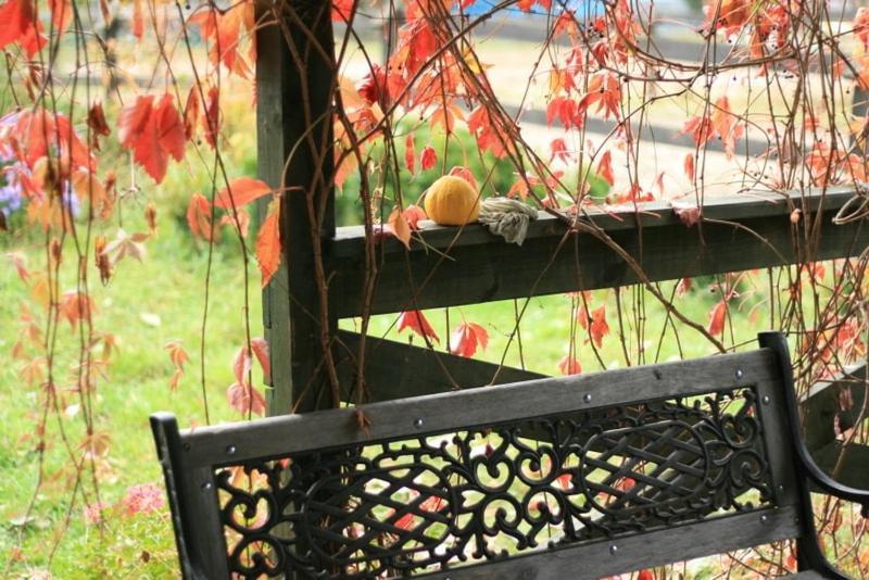 Apartament-Samodzielne Mieszkanie-Agroturystyka-Puszcza Kampinoska Leoncin エクステリア 写真